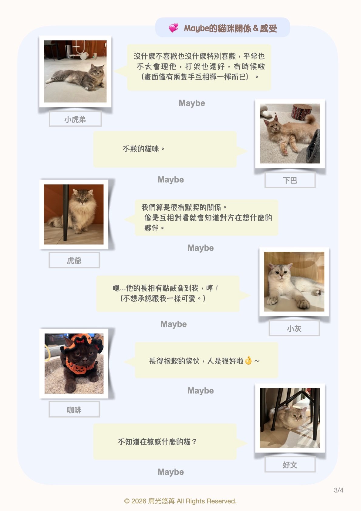 寵物溝通療癒報告範例 第 3 頁